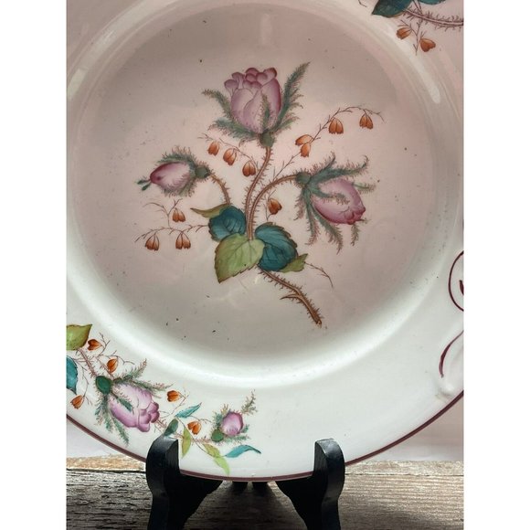 Moss Rose Ironstone 1890 - 1920 DINNER PLATE Beautiful Cottagecore Piece - Picture 3 of 12